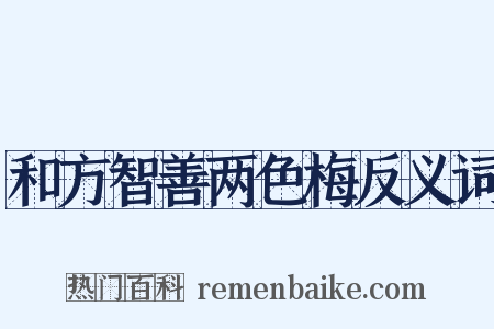 和方智善两色梅反义词是什么意思的图片